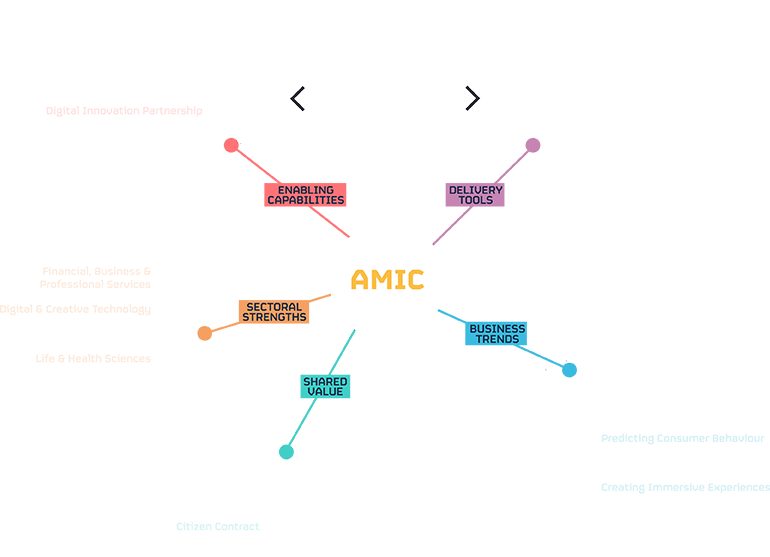 AMIC Project Diagram